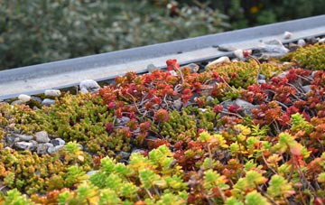 the cost of Corsock green roof installation