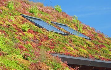 Corsock living roof systems