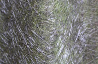 Corsock fibreglass roof work